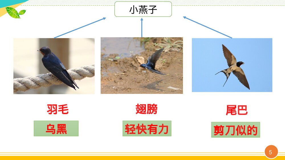 统编版三年级语文下册 第一单元整体探究课PPT课件下载5
