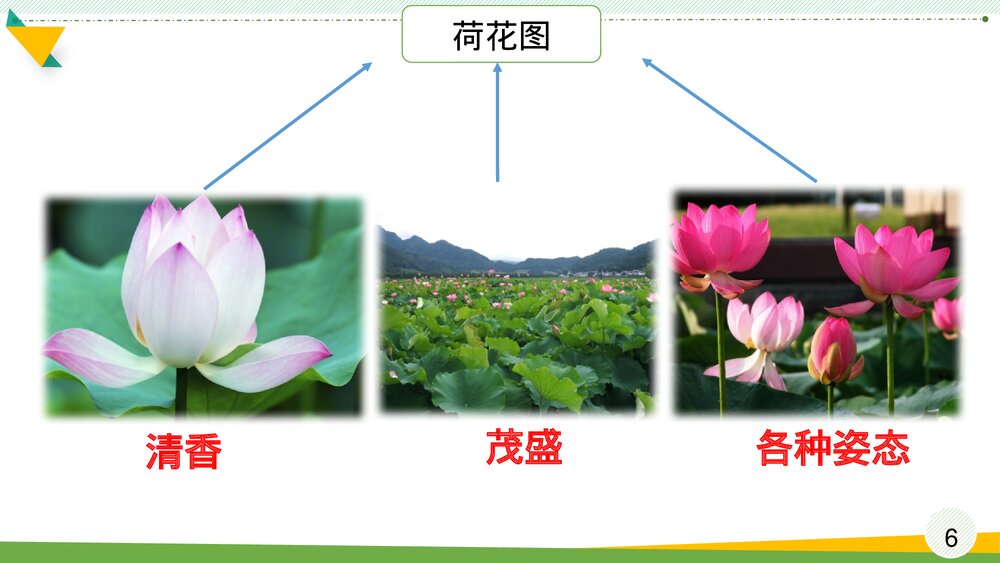 统编版三年级语文下册 第一单元整体探究课PPT课件下载6