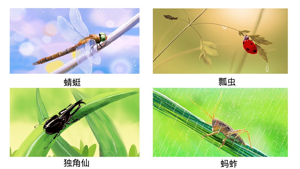 统编版三年级语文下册 第一单元整体探究课PPT课件下载7