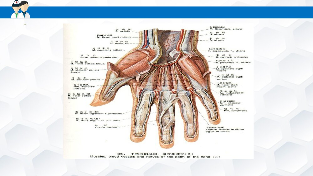 掌骨骨折患者的护理PPT课件下载(共30页·可编辑修改)5