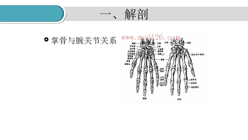掌骨骨折的护理PPT课件(共23页·可编辑修改)4