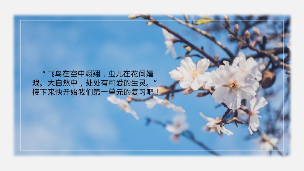 部编版三年级语文下册 第一单元复习PPT课件下载2