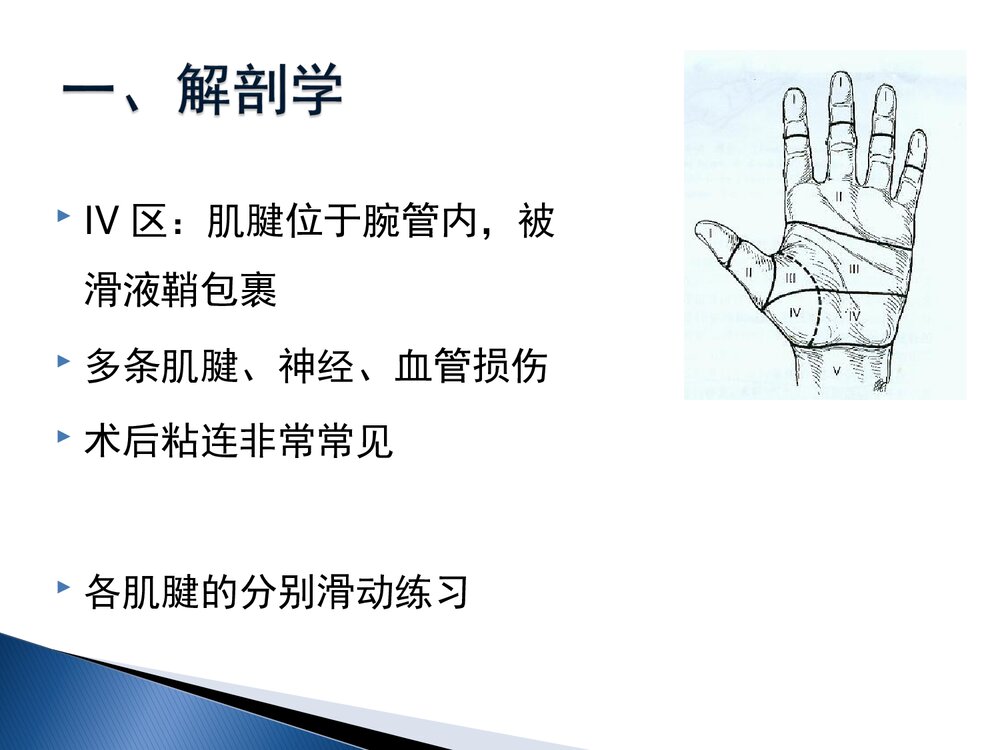 手部屈肌腱损伤康复课件PPT下载(共60页·可编辑修改)6