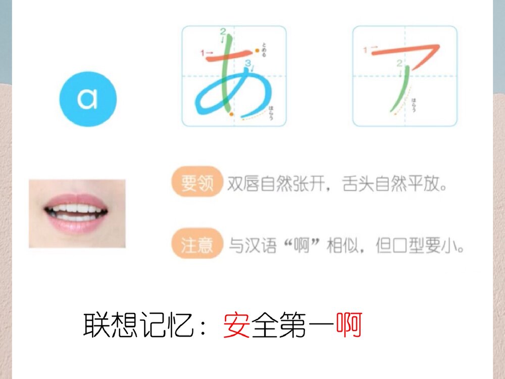 新版标准高中日本语 五十音图PPT课件下载8