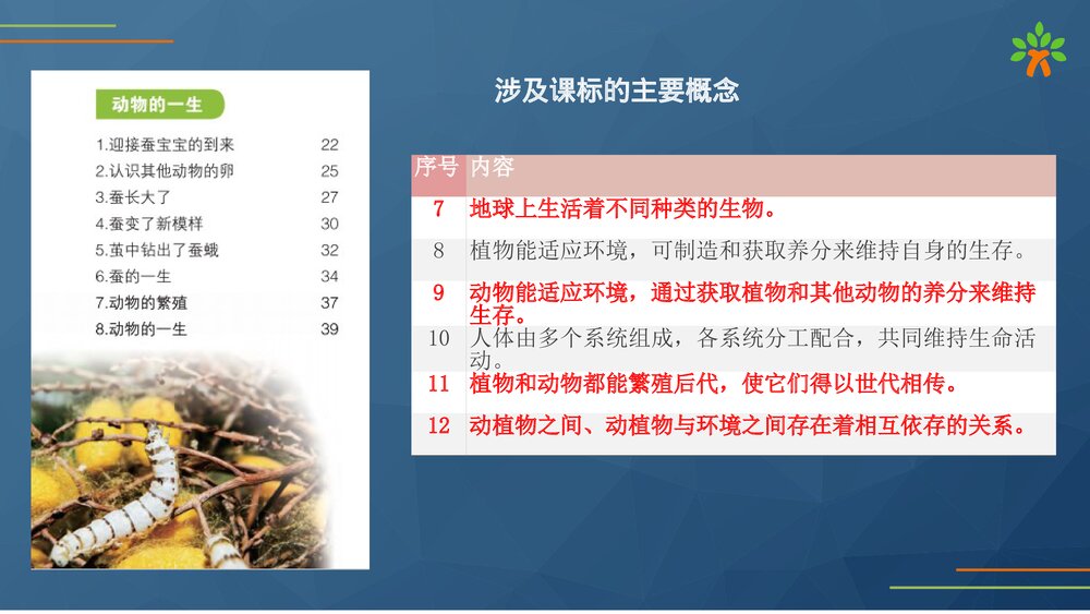 教科版(2020秋)三年级科学下册第二单元动物的一生(教材解读PPT课件）6