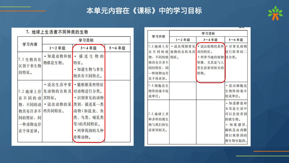 教科版(2020秋)三年级科学下册第二单元动物的一生(教材解读PPT课件）7