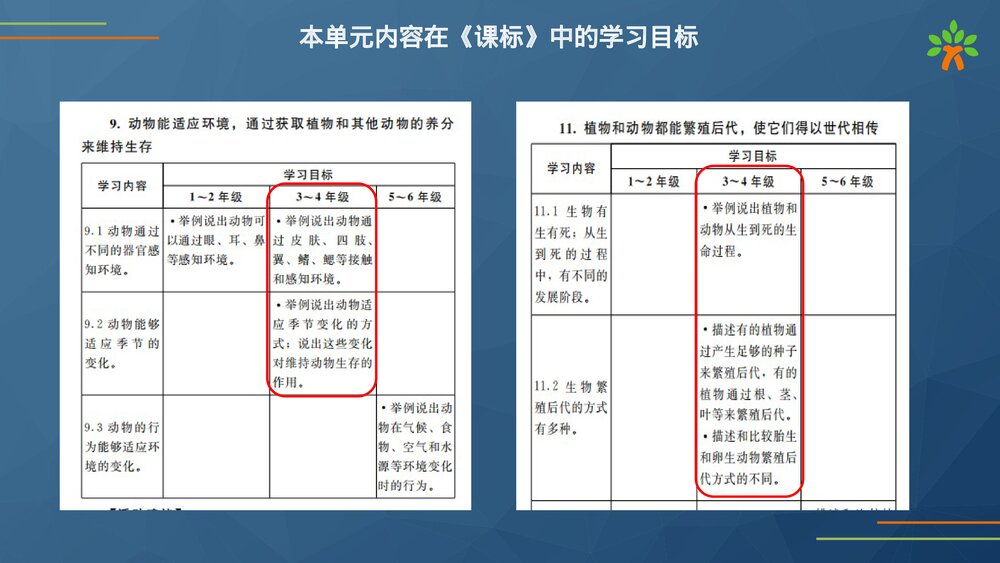 教科版(2020秋)三年级科学下册第二单元动物的一生(教材解读PPT课件）8