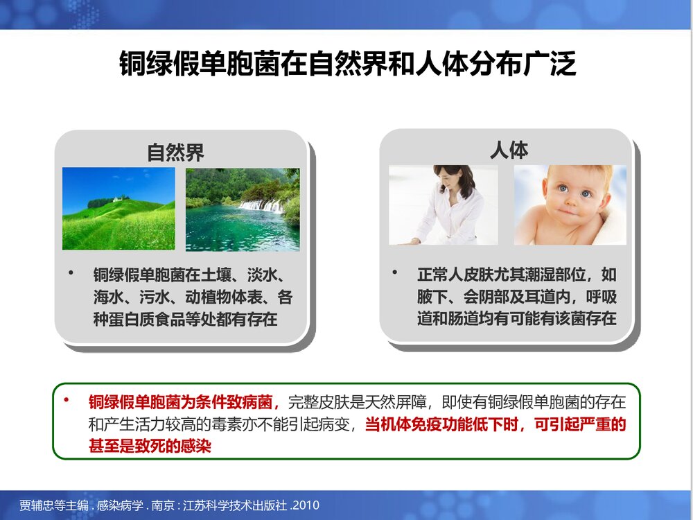 铜绿假单胞菌诊治进展PPT课件下载4