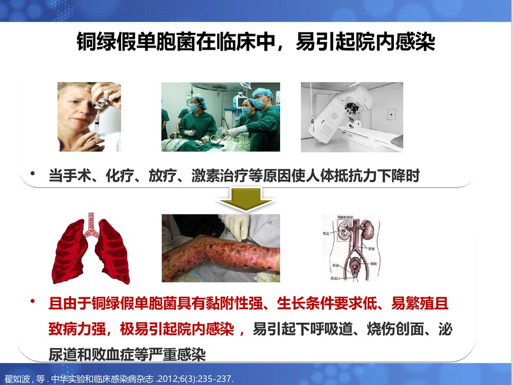 铜绿假单胞菌诊治进展PPT课件下载5