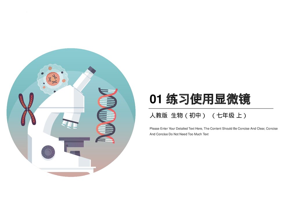 人教版初中七年级上册生物试验复习课件PPT下载3