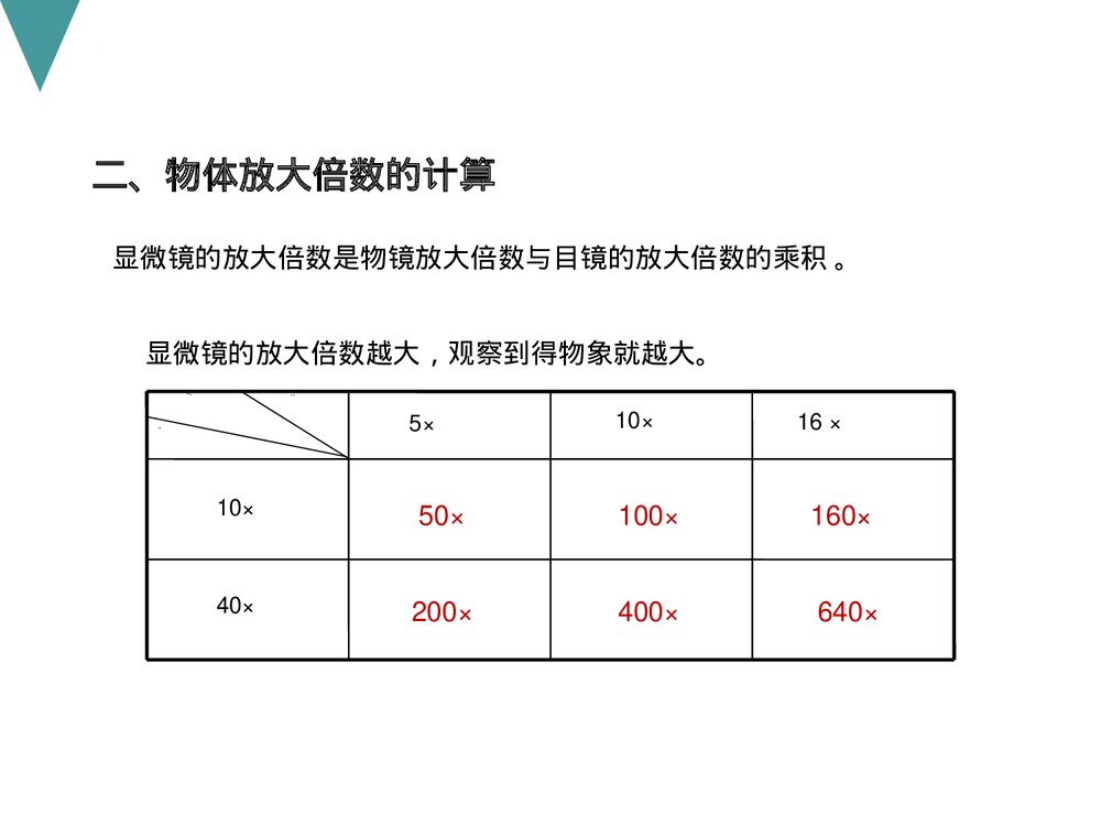 人教版初中七年级上册生物试验复习课件PPT下载9