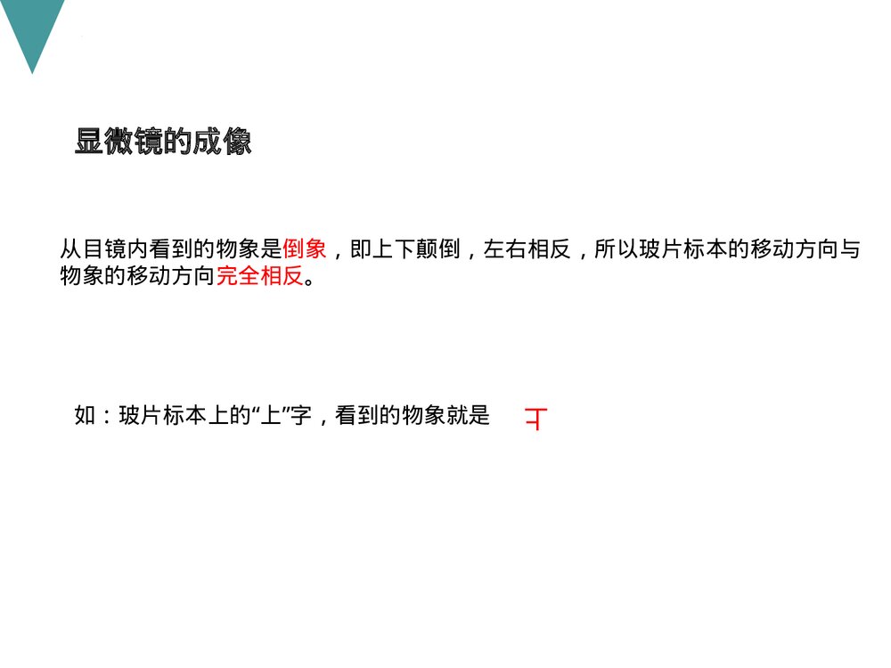 人教版初中七年级上册生物试验复习课件PPT下载10