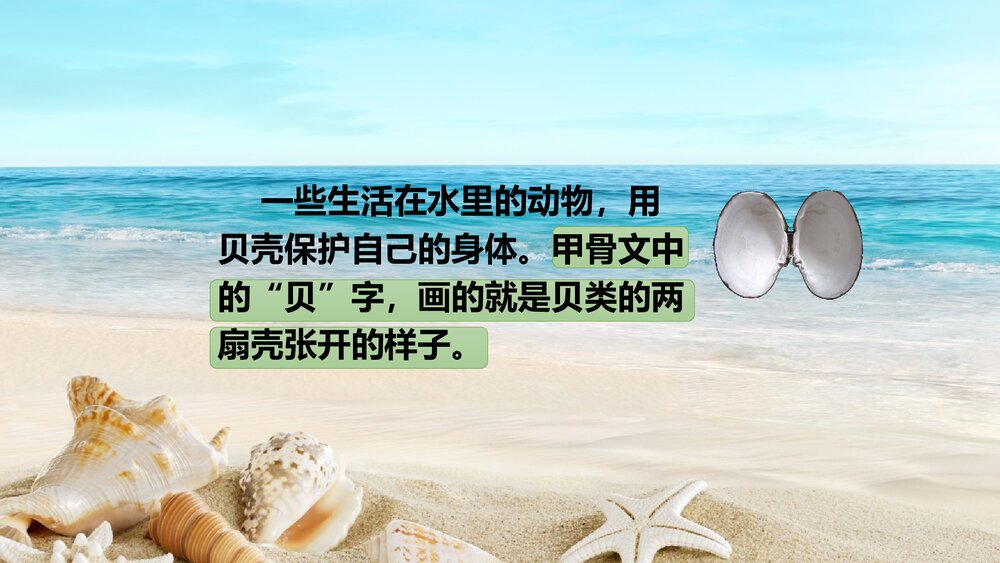 部编版二年级语文下册·识字3 “贝”的故事PPT课件8