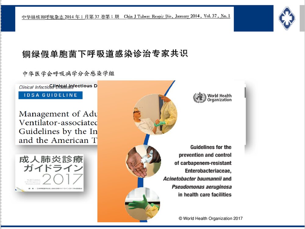铜绿假单胞感染治疗策略PPT课件下载2