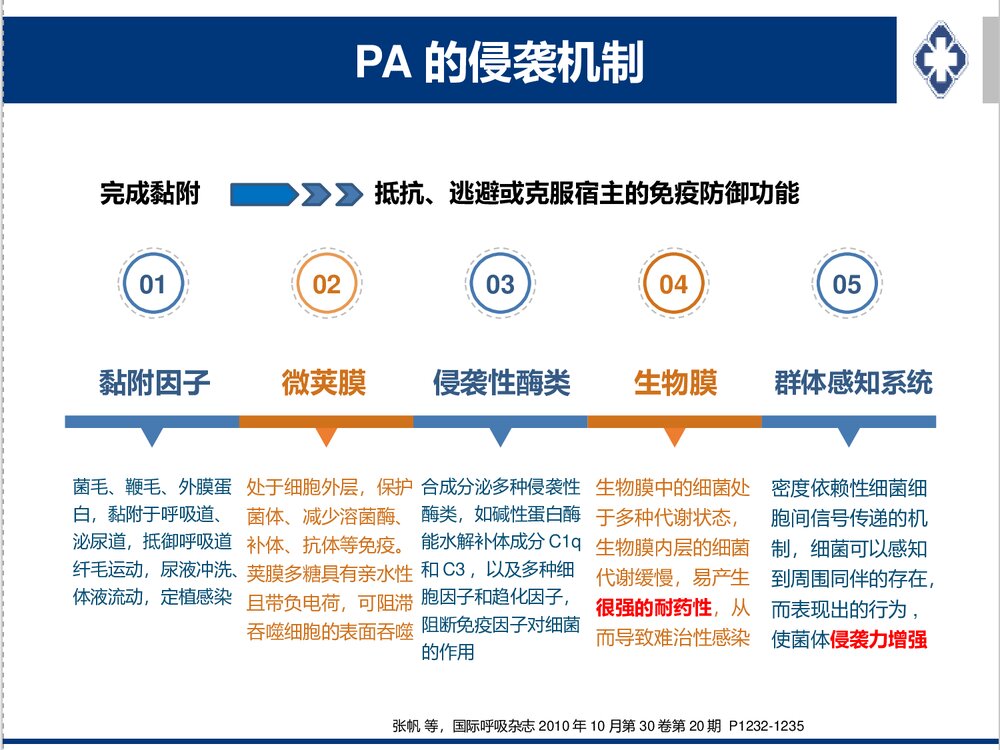 铜绿假单胞感染治疗策略PPT课件下载5