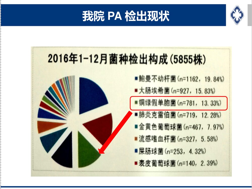 铜绿假单胞感染治疗策略PPT课件下载9