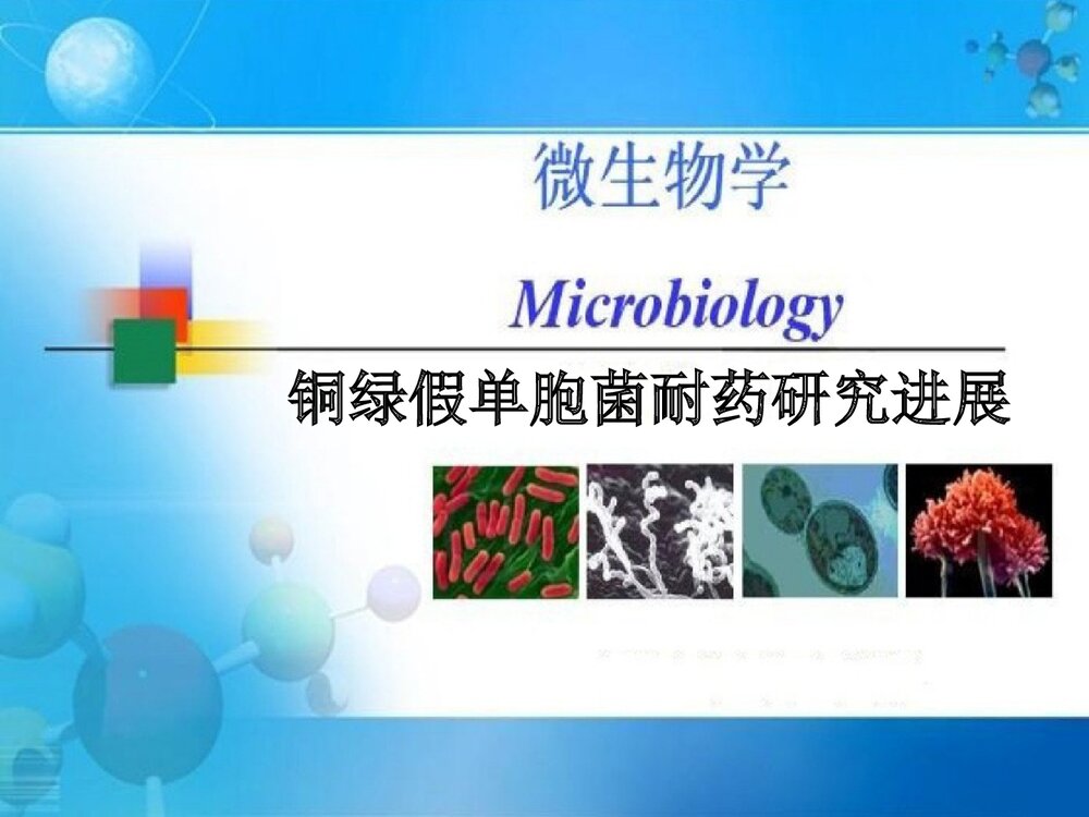 铜绿假单胞菌感染耐药性PPT课件下载1