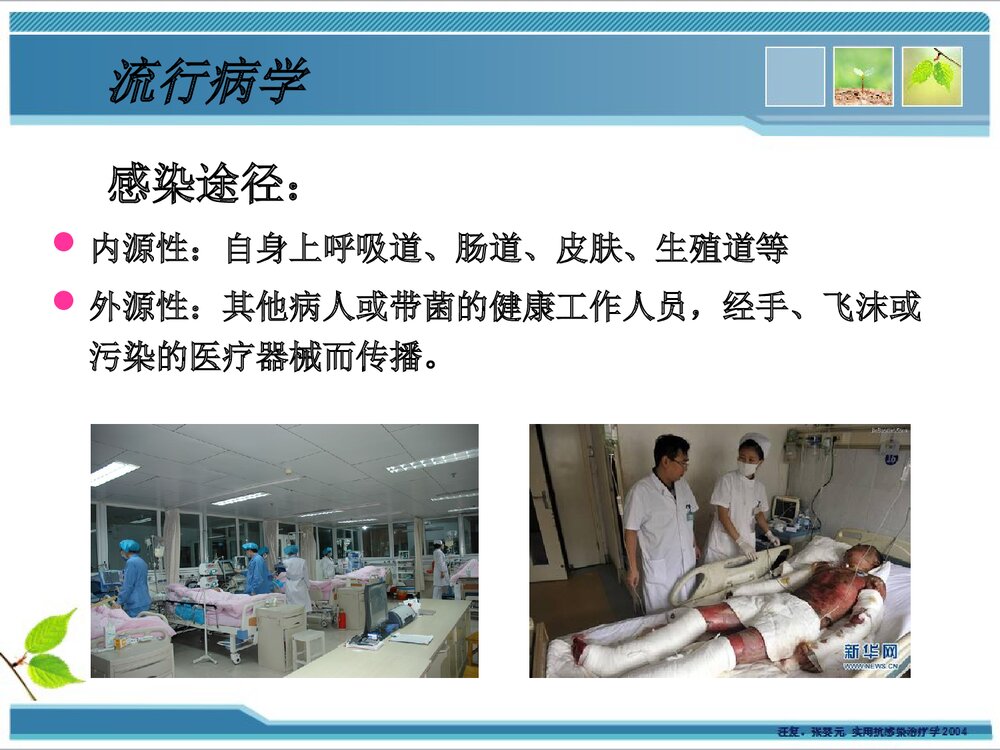 铜绿假单胞菌感染耐药性PPT课件下载4