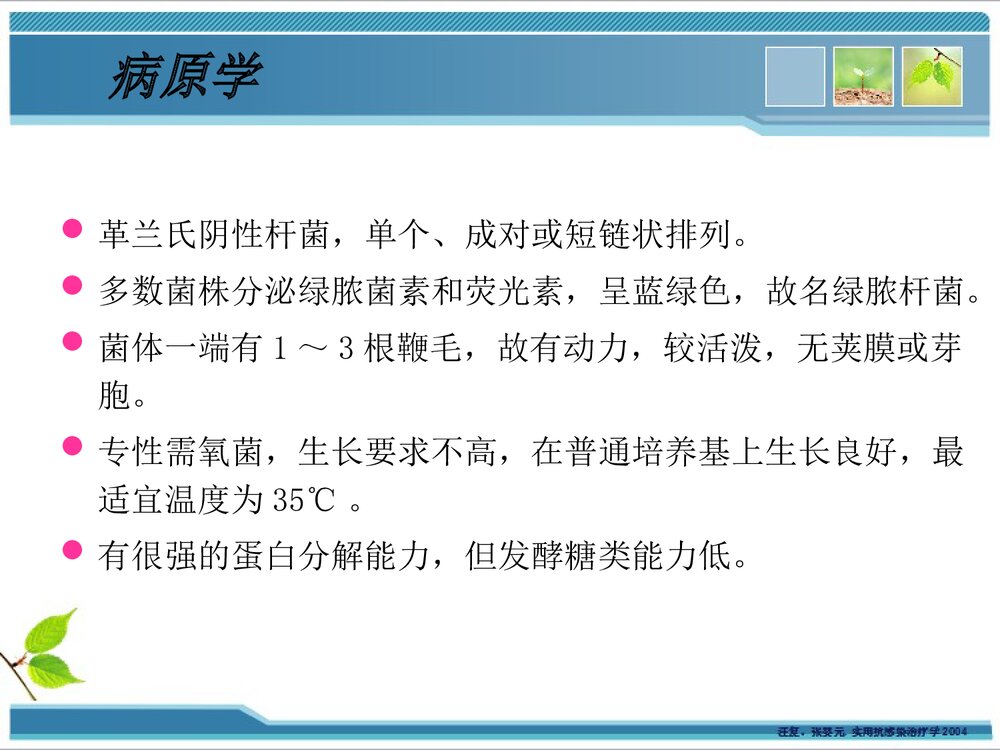 铜绿假单胞菌感染耐药性PPT课件下载5