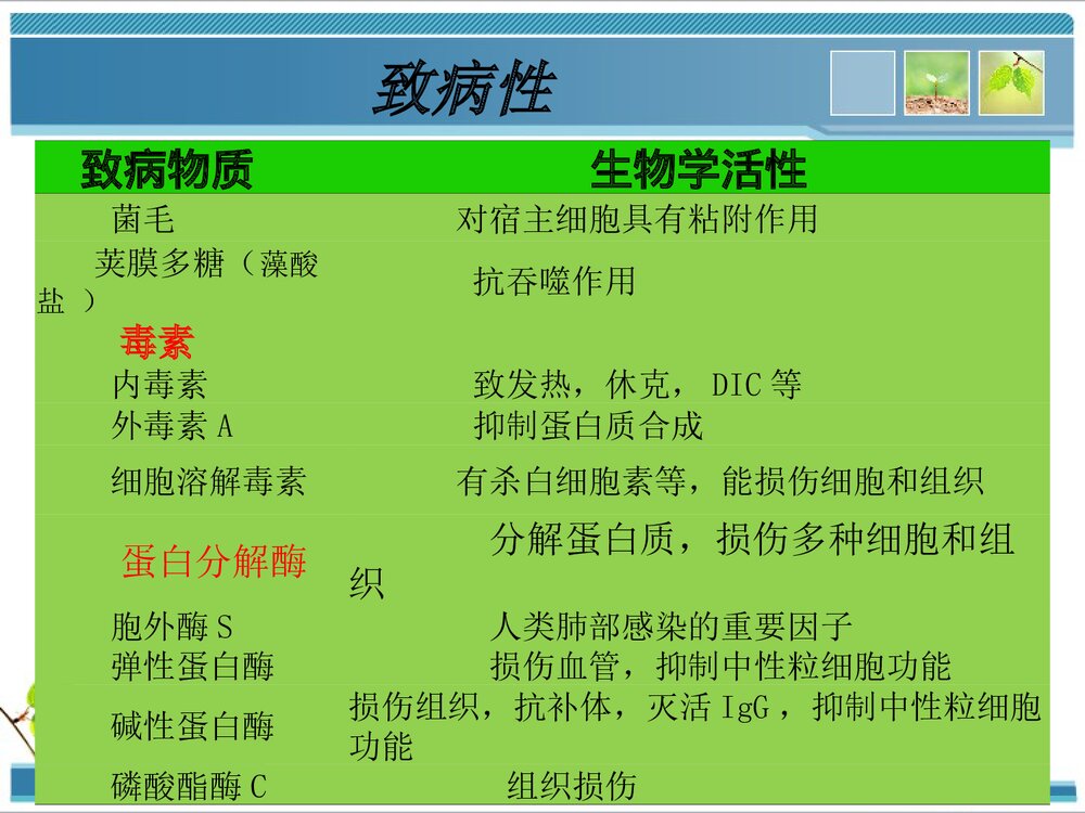 铜绿假单胞菌感染耐药性PPT课件下载6