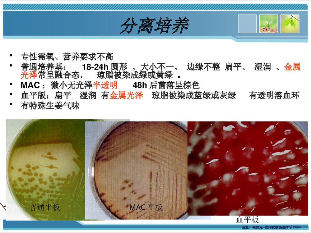 铜绿假单胞菌感染耐药性PPT课件下载10