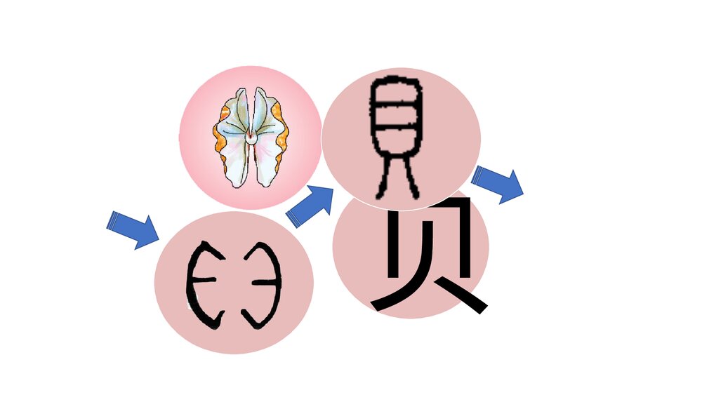 小学语文二年级下册·识字3 “贝”的故事(PPT课件)1