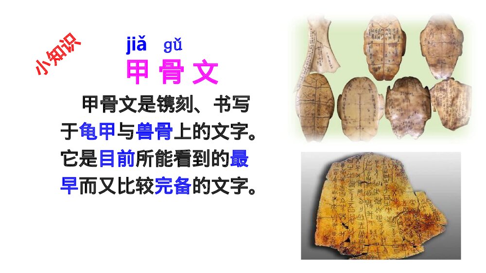 小学语文二年级下册·识字3 “贝”的故事(PPT课件)6