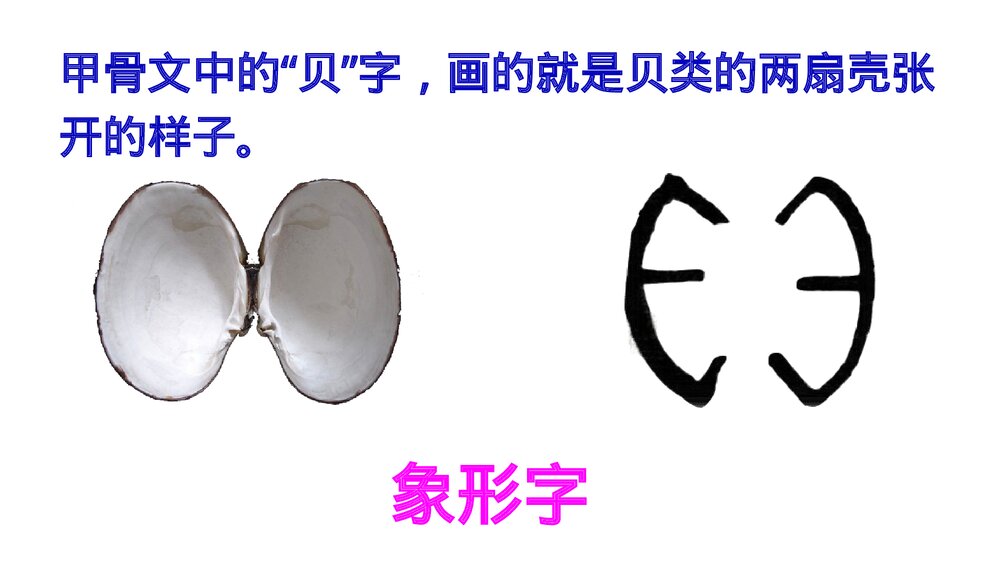 小学语文二年级下册·识字3 “贝”的故事(PPT课件)8