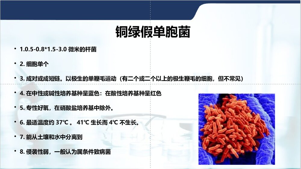 铜绿假单胞菌PPT课件下载3