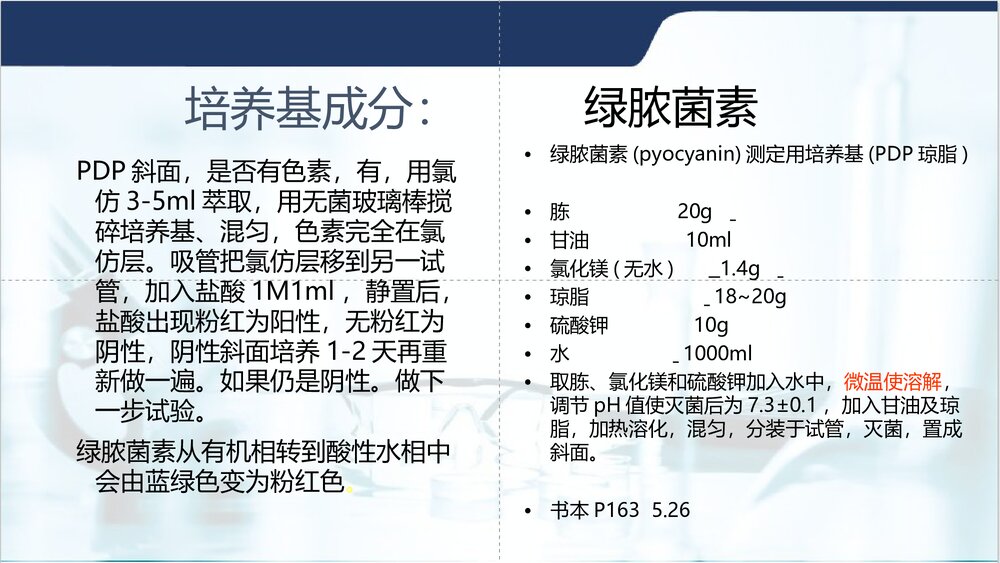 铜绿假单胞菌PPT课件下载10