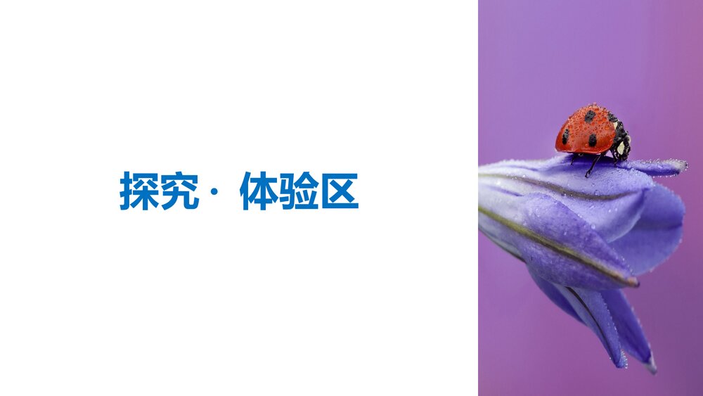 人教版&middot;高三语文&middot;语言文字应用-21-22版：第三课 神奇的汉字《第一节 字之初，本为画&mdash;&mdash;4