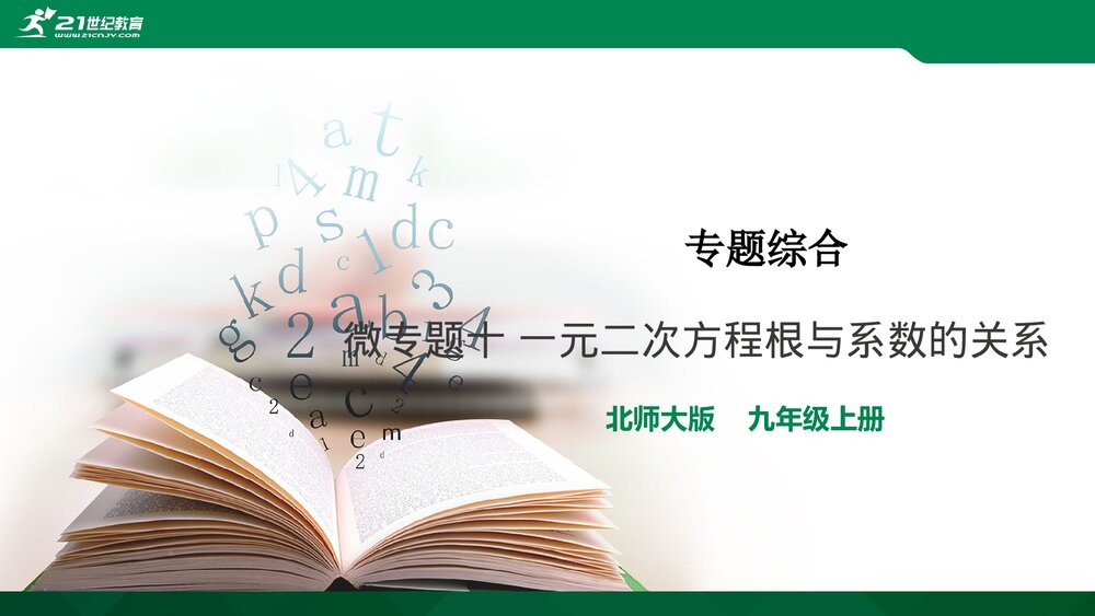 北师大数学九年级上册《微专题十 一元二次方程根与系数的关系》教学PPT课件1
