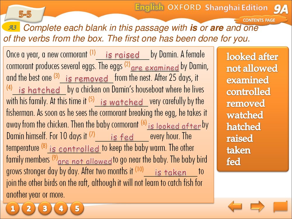 牛津上海版英语九年级上册PPT课件：Unit 2 Trditional skills Grammar8