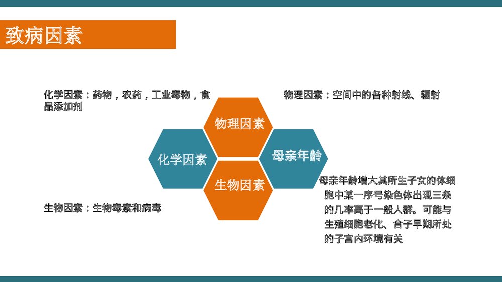 X三体综合征PPT课件下载(共21页·可编辑修改)5