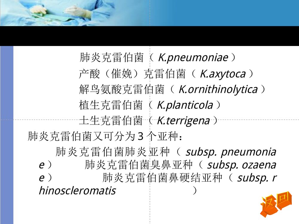 克雷伯菌属PPT课件下载3
