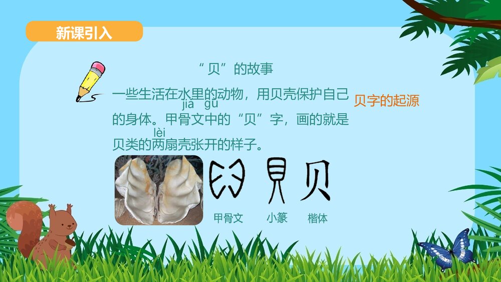 2020学年部编版小学语文二年级下册《33 “贝”的故事》优质教学课件PPT3