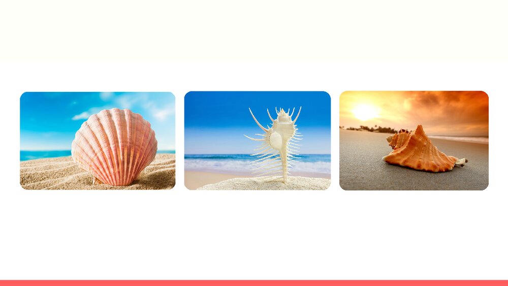 人教部编版2020学年小学语文二年级下册识字3《贝的故事-1》教学PPT课件下载2