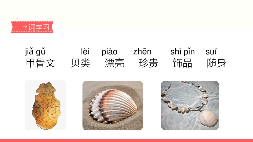 人教部编版2020学年小学语文二年级下册识字3《贝的故事-1》教学PPT课件下载4