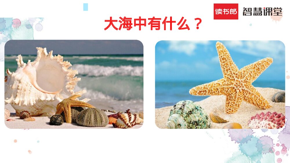 人教部编版2020学年小学语文二年级下册《识字3 “贝”的故事》教学参考课件PPT下载2