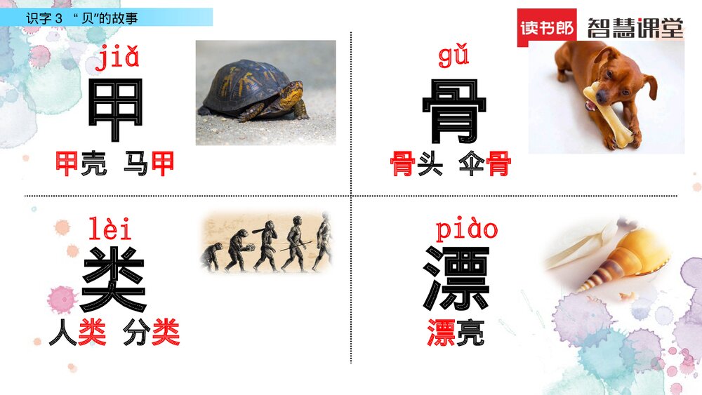 人教部编版2020学年小学语文二年级下册《识字3 “贝”的故事》教学参考课件PPT下载6