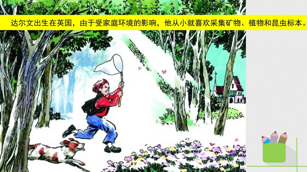 人教版八年级生物下册 画故事：达尔文和他的进化思想 教学课件PPT下载2