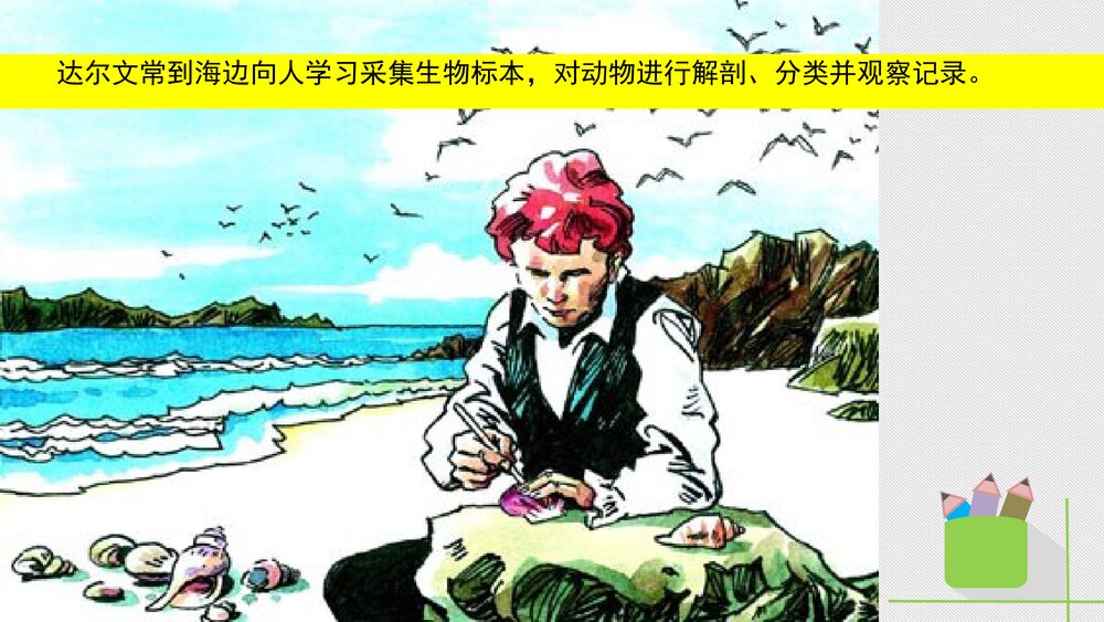 人教版八年级生物下册 画故事：达尔文和他的进化思想 教学课件PPT下载3