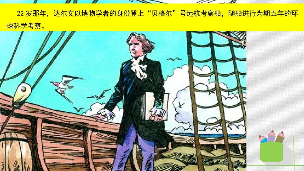 人教版八年级生物下册 画故事：达尔文和他的进化思想 教学课件PPT下载5