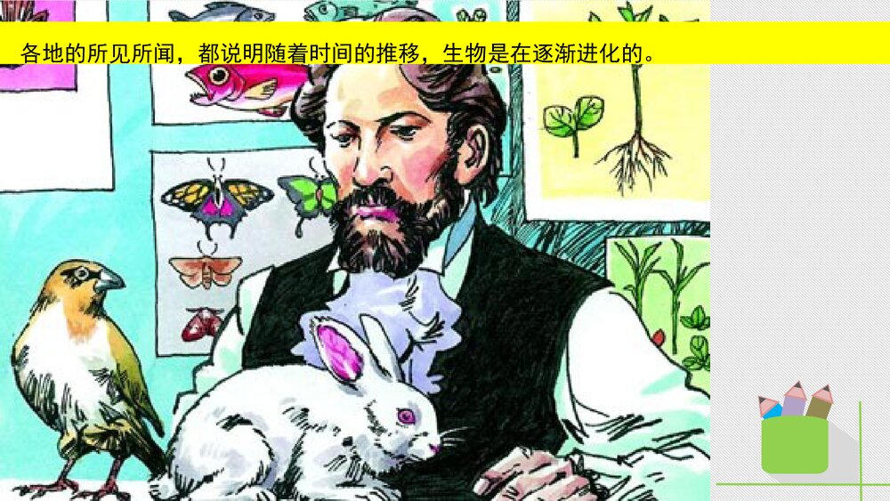 人教版八年级生物下册 画故事：达尔文和他的进化思想 教学课件PPT下载8