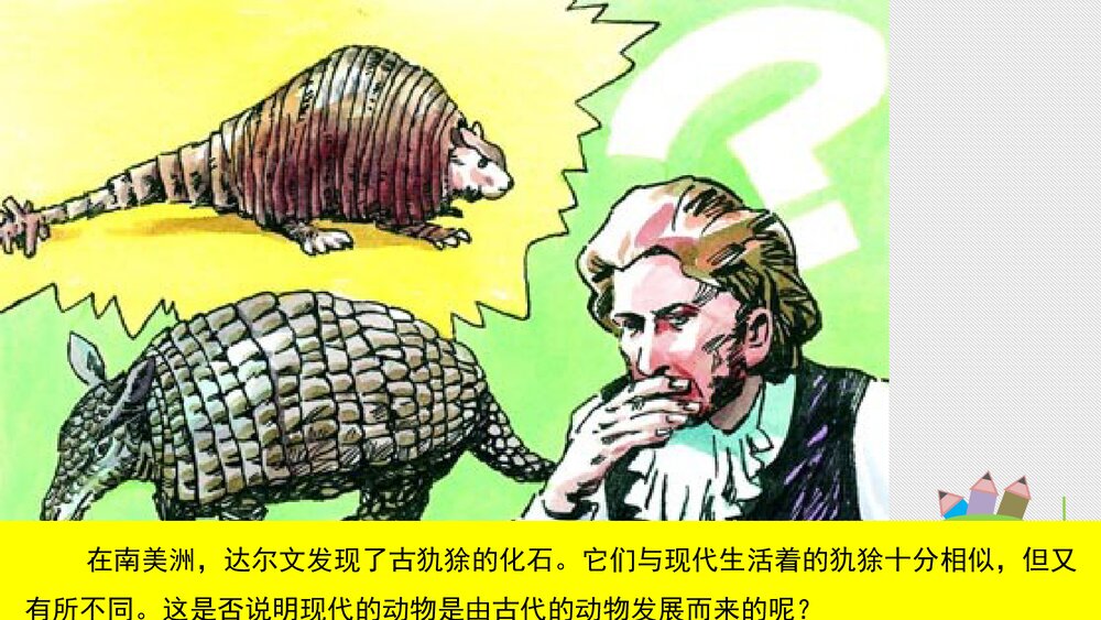人教版八年级生物下册 画故事：达尔文和他的进化思想 教学课件PPT下载9