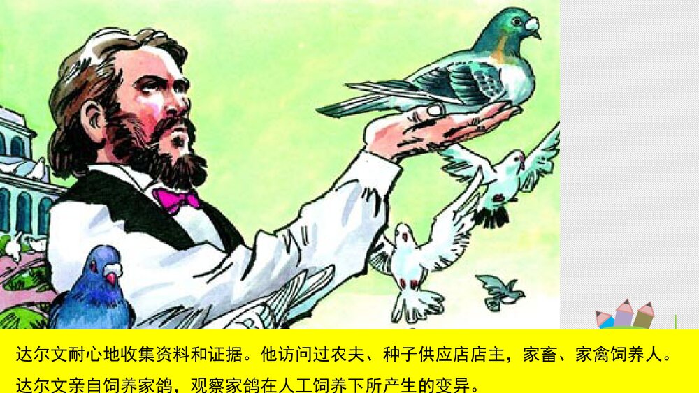人教版八年级生物下册 画故事：达尔文和他的进化思想 教学课件PPT下载10