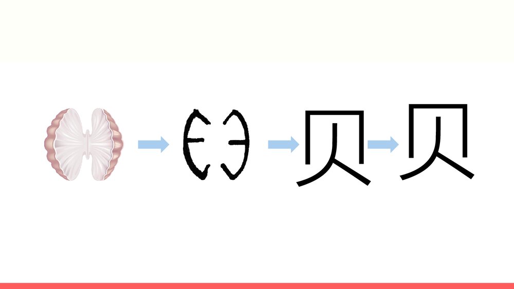 部编版2020学年小学语文二年级下册识字3《贝的故事-2》教学PPT课件5