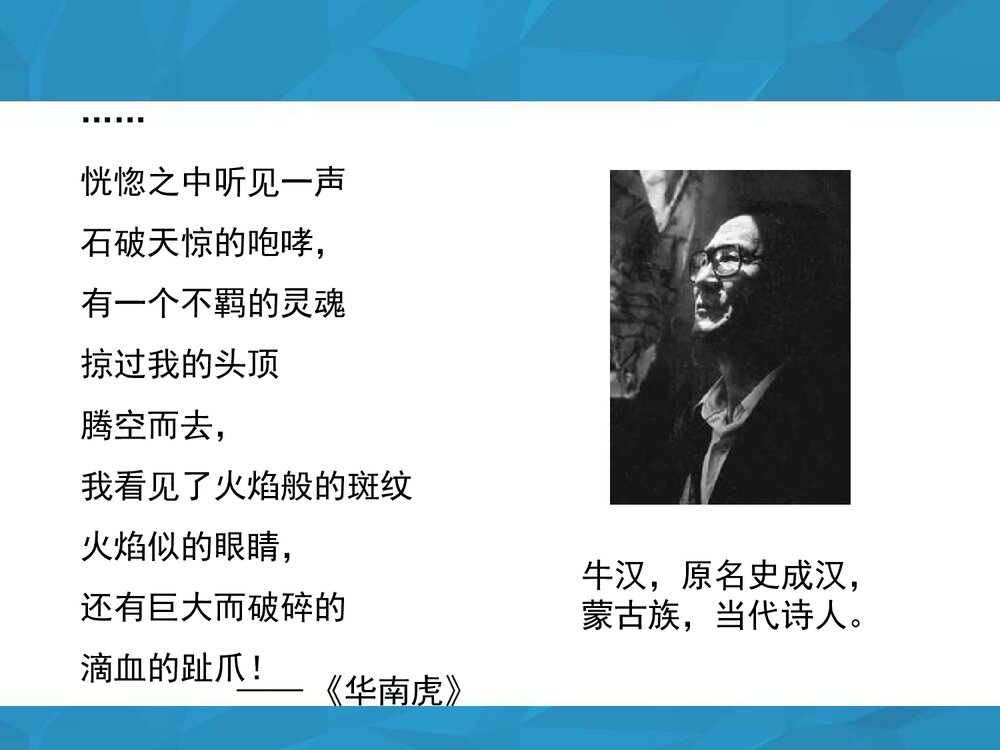 八年级语文下册《我的第一本书》参考课件PPT下载1