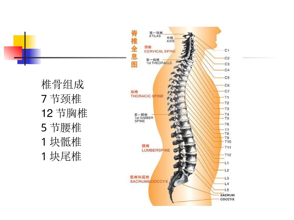 截瘫病人饮食护理PPT课件下载3