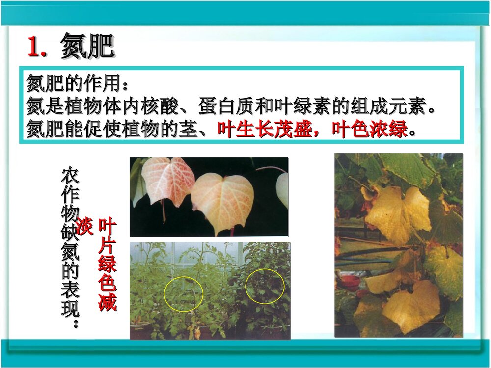 《第十一单元 盐 化肥课题2 化学肥料》初中化学九年级下册课件PPT下载4